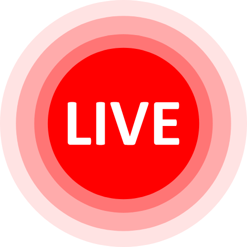 Teamviewer Findom